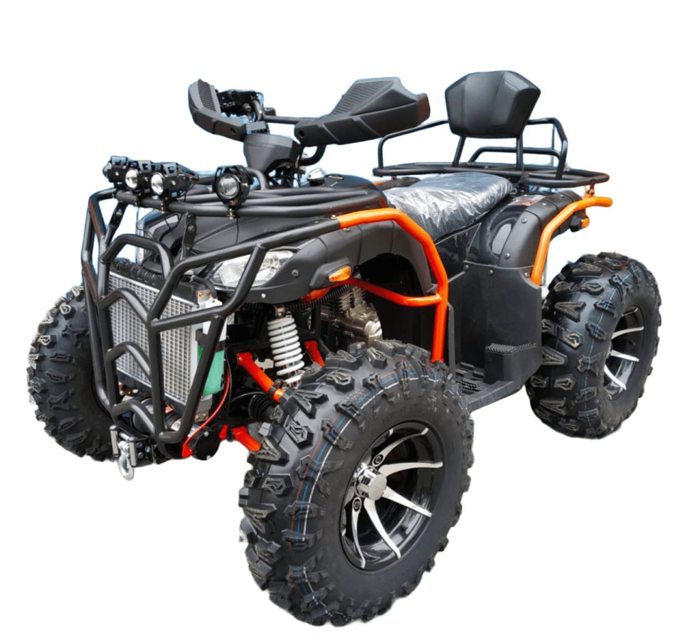 ATV 300 Grizzli